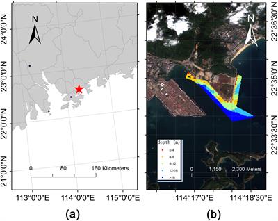 Enhancing Water depth inversion accuracy in turbid coastal environments using random forest and coordinate attention mechanisms